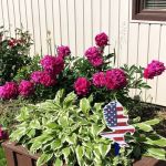 Washington / Pittsburgh SW KOA Journey