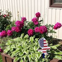 Washington / Pittsburgh SW KOA Journey ico