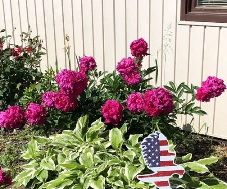 Washington / Pittsburgh SW KOA Journey