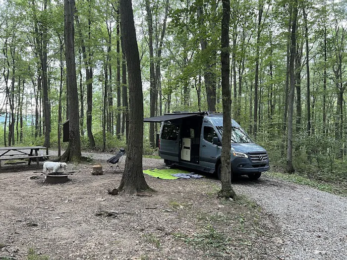 Forbes Campsite #4 Picture 10