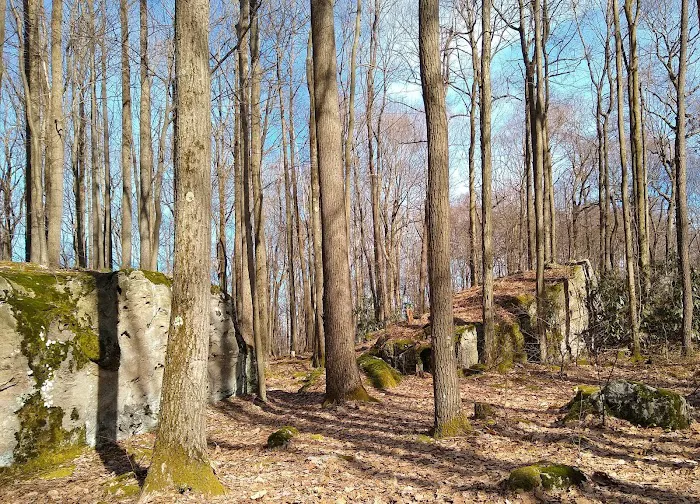 Forbes Campsite #4 Picture 5