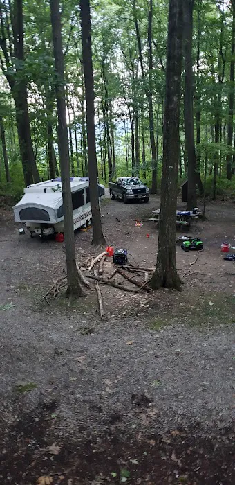 Forbes Campsite #4 Picture 6