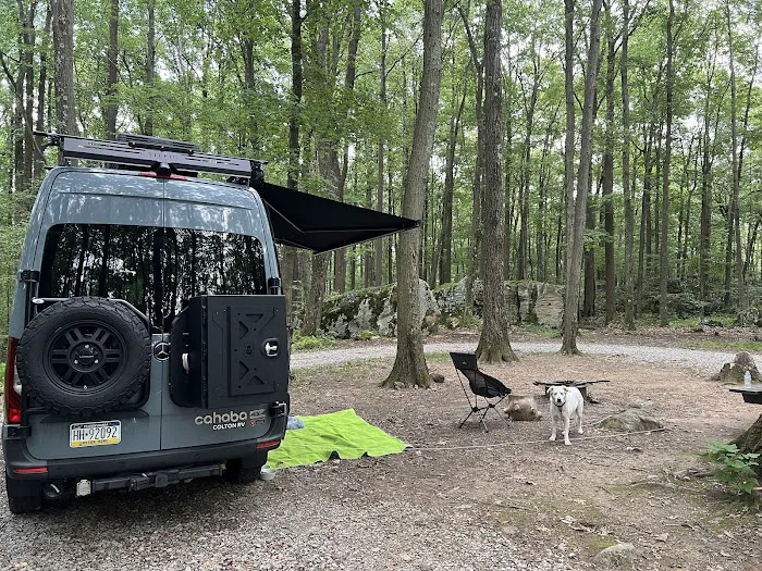 Forbes Campsite #4 Picture 9