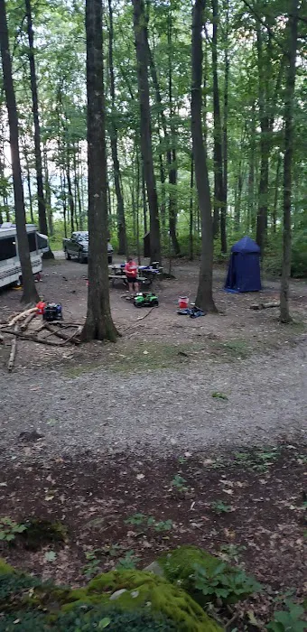 Forbes Campsite #4 Picture 1