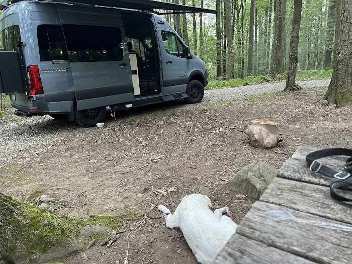 Forbes Campsite #4 Picture 7