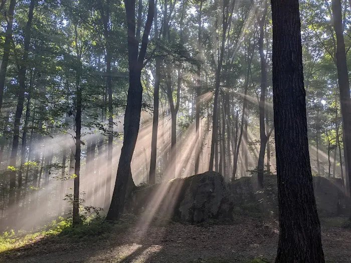 Forbes Campsite #4 Picture 8