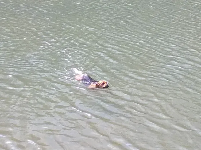 Five Pines Camping & Rec Picture 3