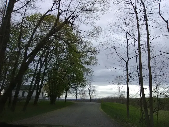 Five Pines Camping & Rec Picture 5