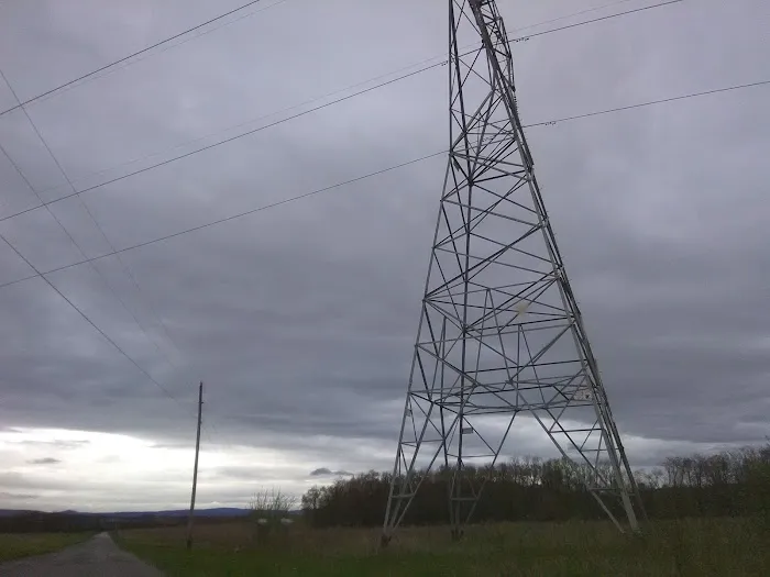 Five Pines Camping & Rec Picture 1