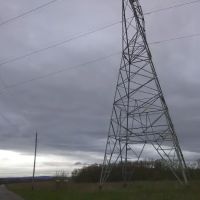 Five Pines Camping & Rec ico