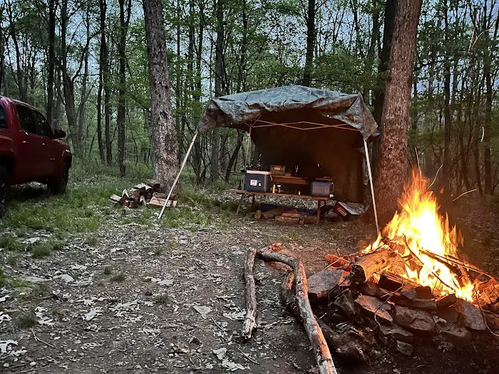 Tall Oaks Campground Picture 6