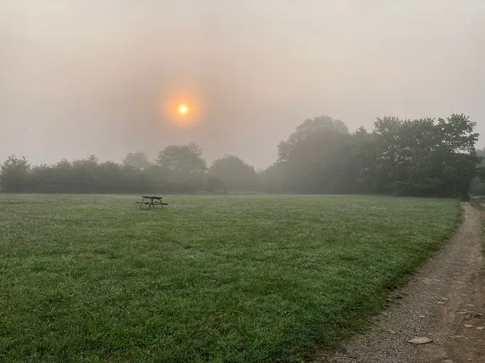 Tall Oaks Campground Picture 9