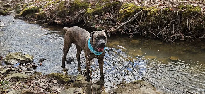 Tall Oaks Campground Picture 5