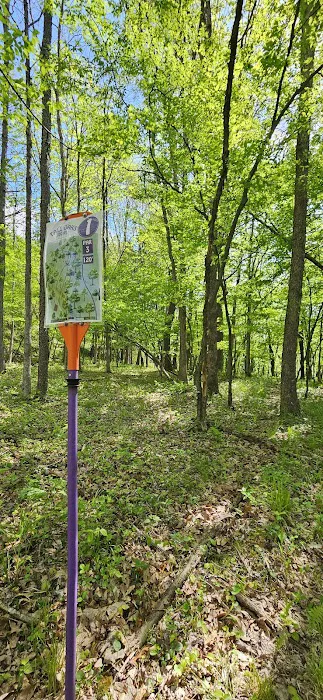 Tall Oaks Campground Picture 7