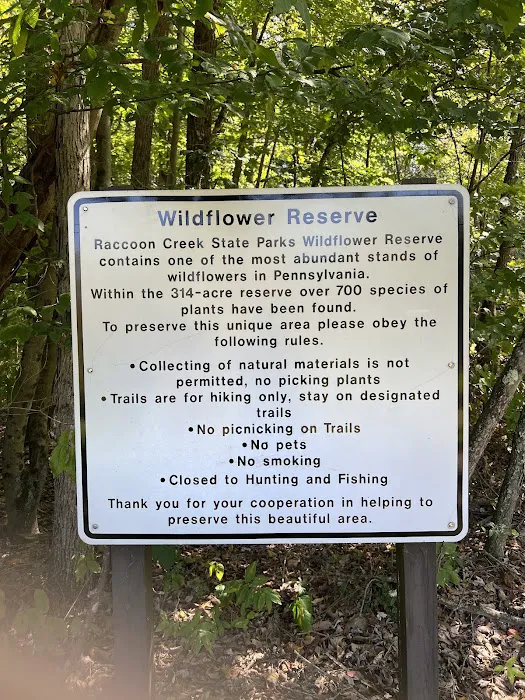 Raccoon Creek Modern Cabin Area Picture 2