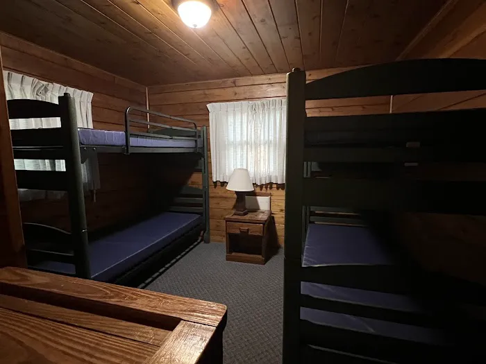 Raccoon Creek Modern Cabin Area Picture 4