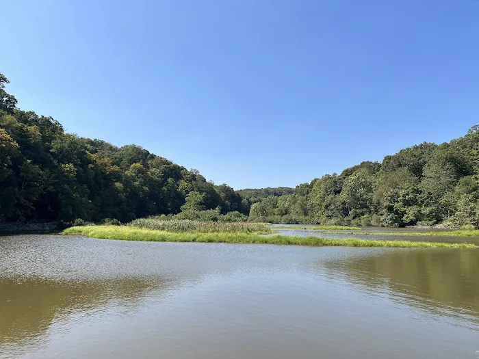 Raccoon Creek Modern Cabin Area Picture 3