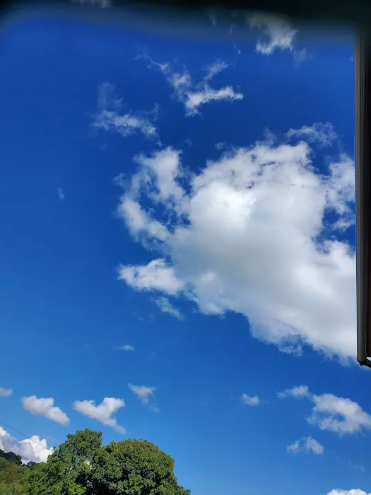 Gas Valley Campground Picture 2