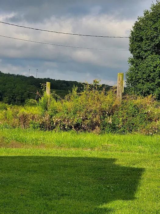 Gas Valley Campground Picture 5