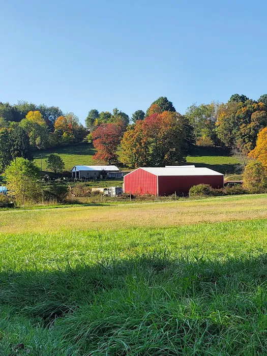 Gas Valley Campground Picture 4