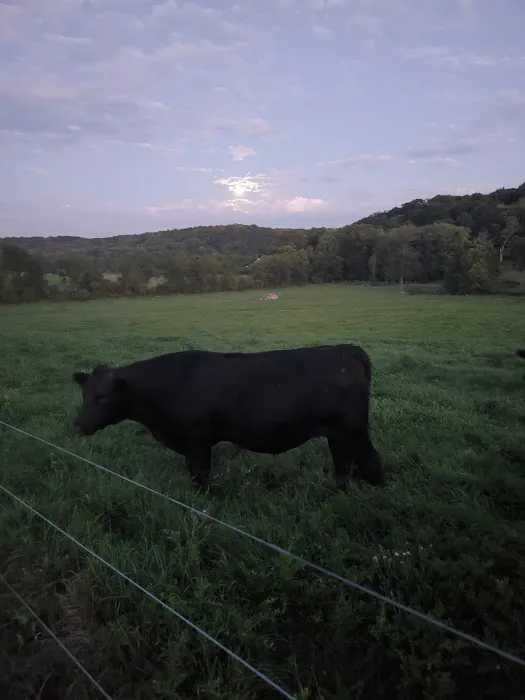 Gas Valley Campground Picture 8