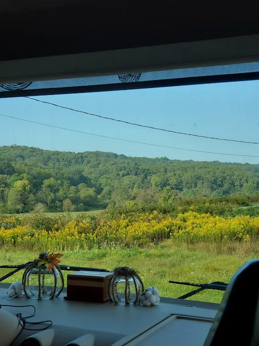 Gas Valley Campground Picture 3