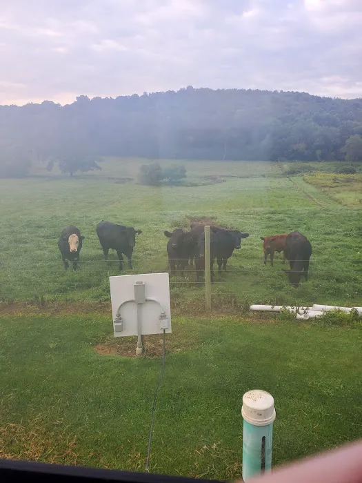 Gas Valley Campground Picture 1