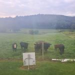 Gas Valley Campground