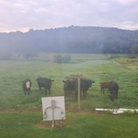 Gas Valley Campground ico