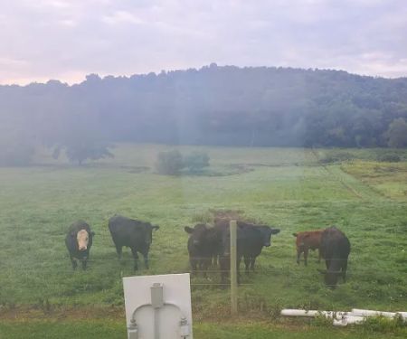 Gas Valley Campground