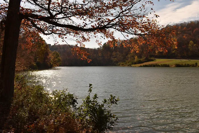 Tomlinson Run State Park Picture 10