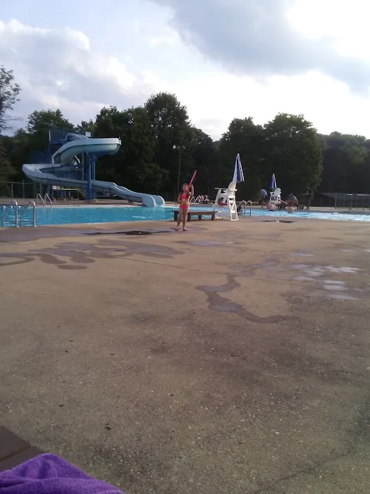 Tomlinson Run State Park Picture 7