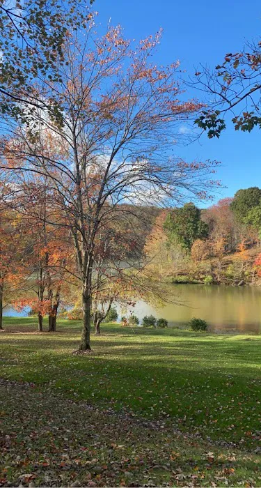 Tomlinson Run State Park Picture 3