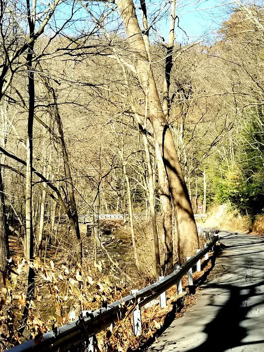 Tomlinson Run State Park Picture 9