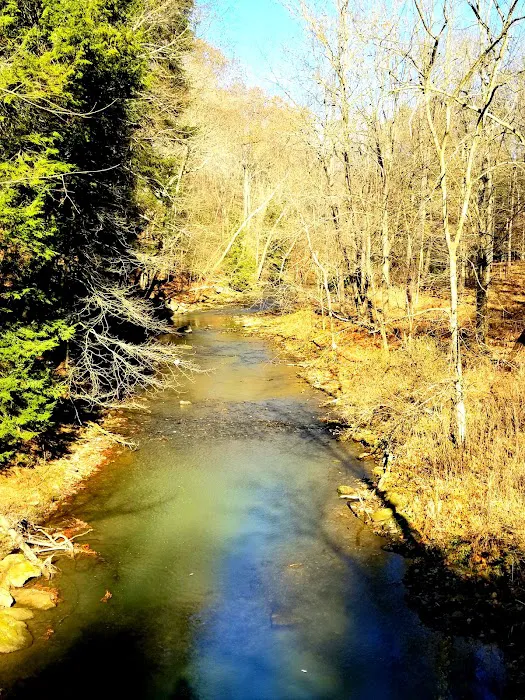 Tomlinson Run State Park Picture 4