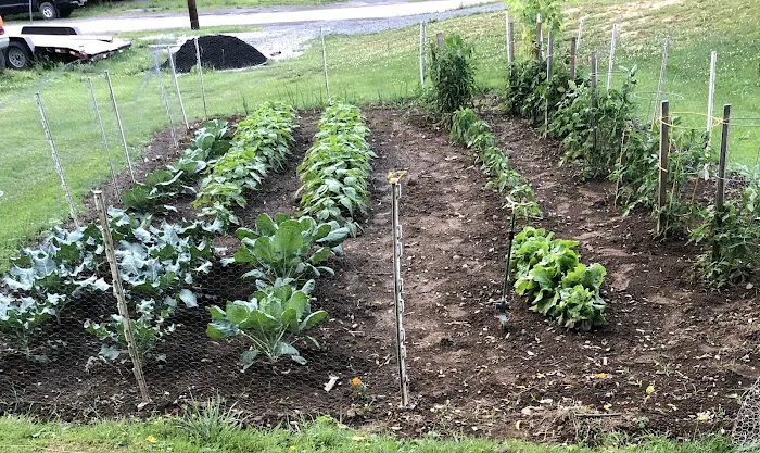 Hartland RV Park Picture 6