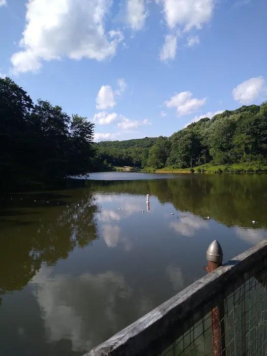 Tomlinson Run State Park Campground Picture 1