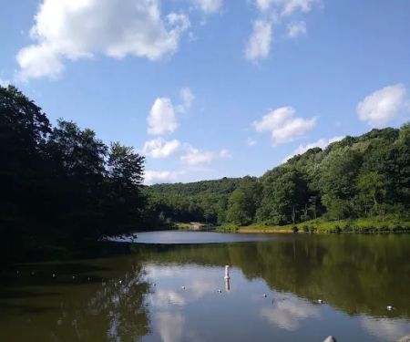 Tomlinson Run State Park Campground