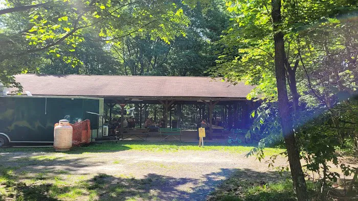 Tomlinson Run State Park Campground Picture 2