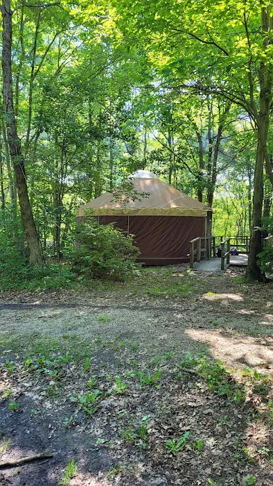 Tomlinson Run State Park Campground Picture 7