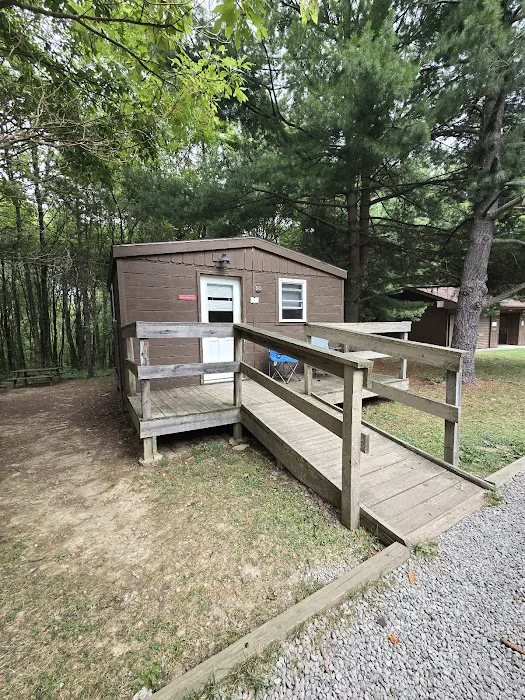 Tomlinson Run State Park Campground Picture 8