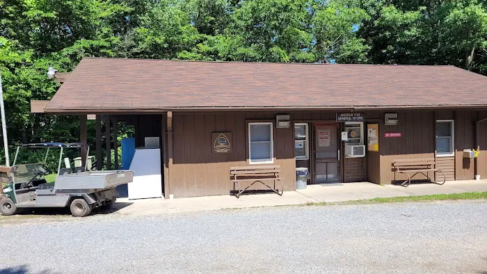 Tomlinson Run State Park Campground Picture 5