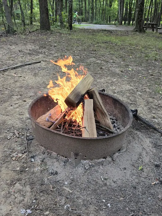 Tomlinson Run State Park Campground Picture 4