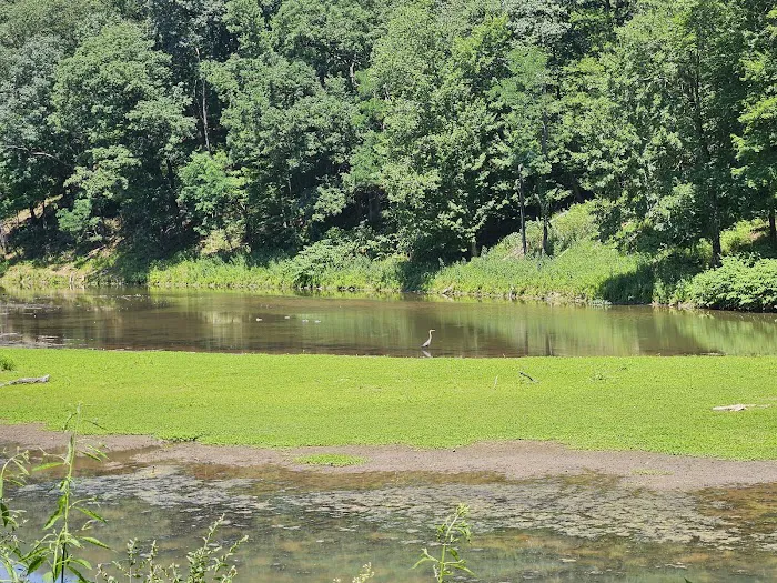 Tomlinson Run State Park Campground Picture 9