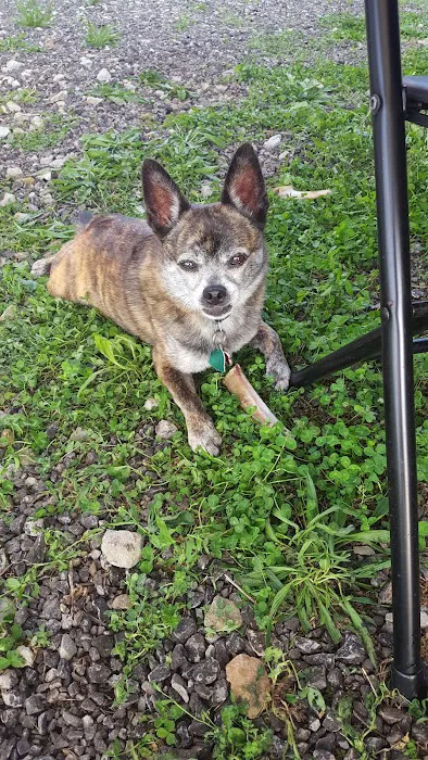 Ernies Acres Campground Picture 3