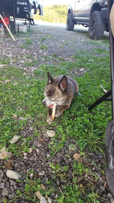 Ernies Acres Campground Picture 1