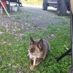 Ernies Acres Campground