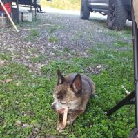 Ernies Acres Campground ico