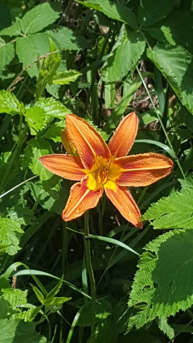 Ernies Acres Campground Picture 2