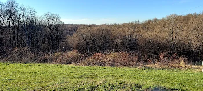 Ernies Acres Campground Picture 5